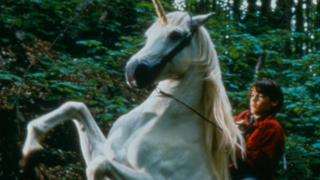 Tek Boynuzlu At (1998) izle