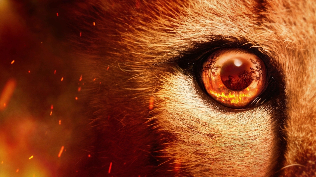 Predators 1. Sezon 2. Bölüm izle